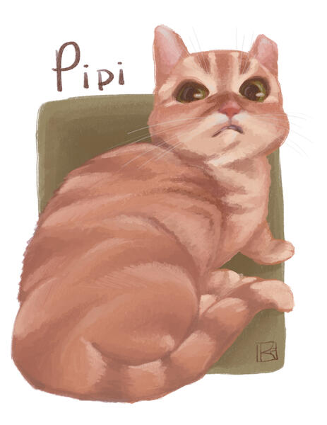 Pipi Pipi